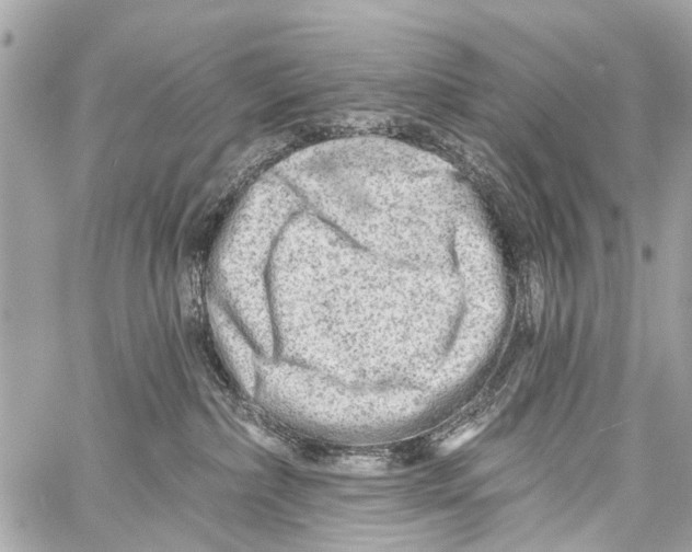 X0000059080236200511041829