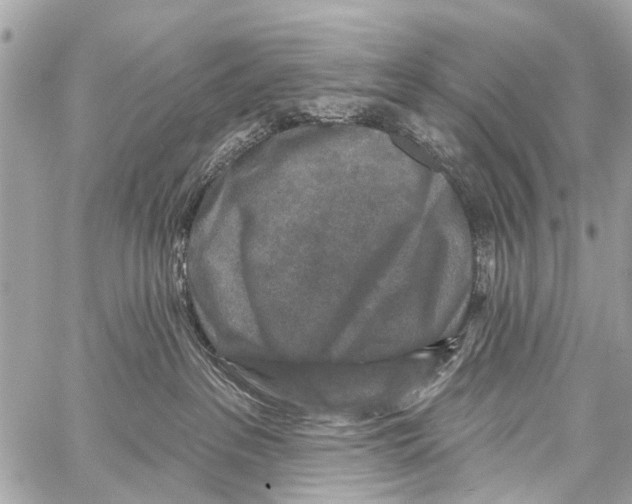 X0000059080237200511041829