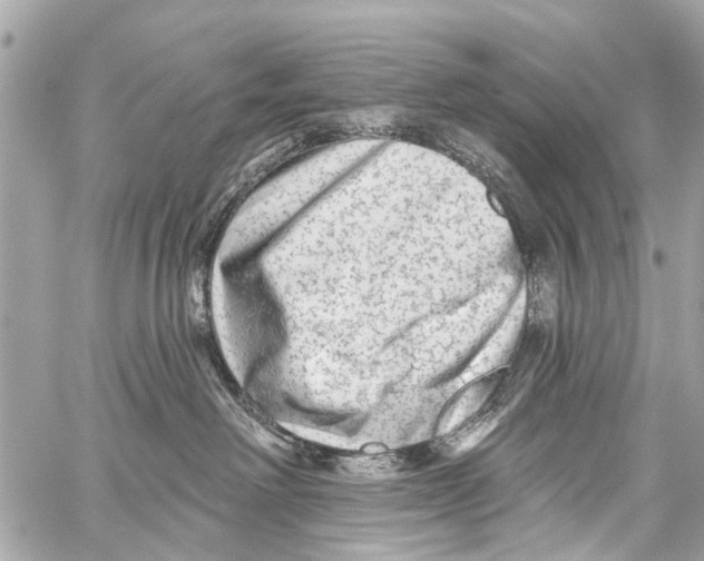 X0000059080238200511041829