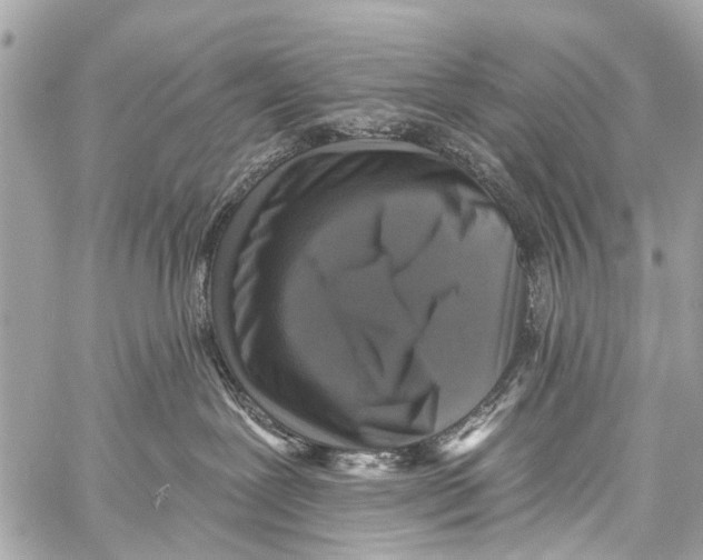 X0000059080239200511041829