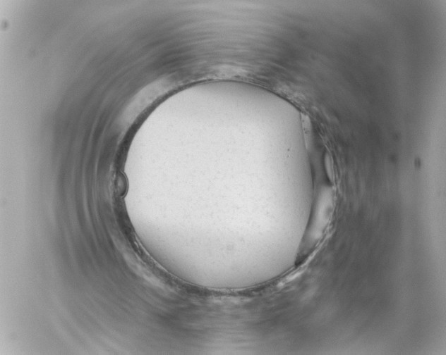 X0000059080242200511041828