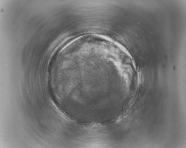 X0000059080243200511041828