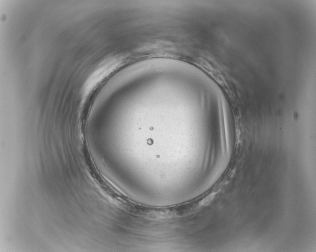 X0000059080245200511041828