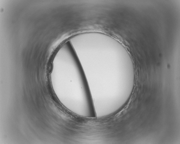 X0000059080248200511041829