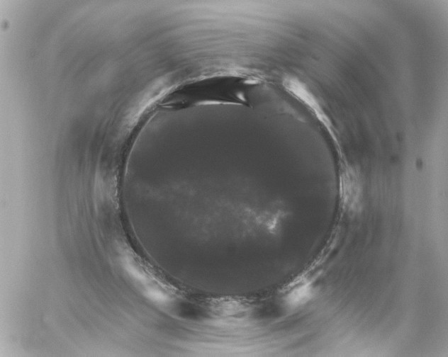 X0000059080249200511041829