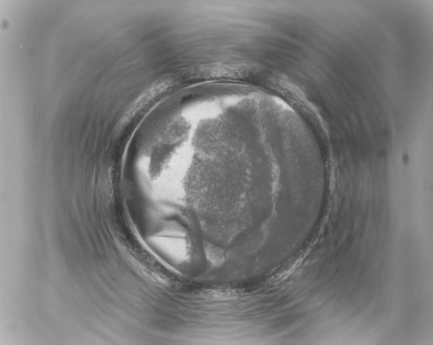 X0000059080250200511041829