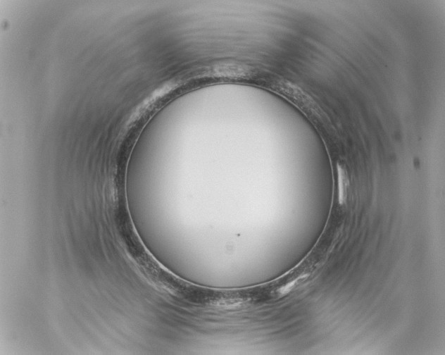 X0000059080252200511041829