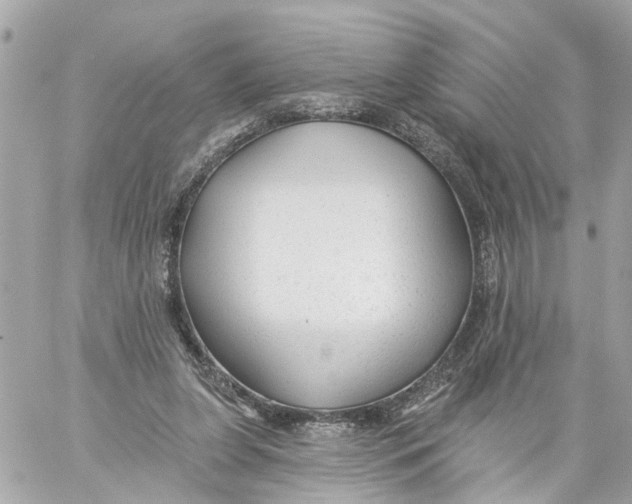 X0000059080255200511041829