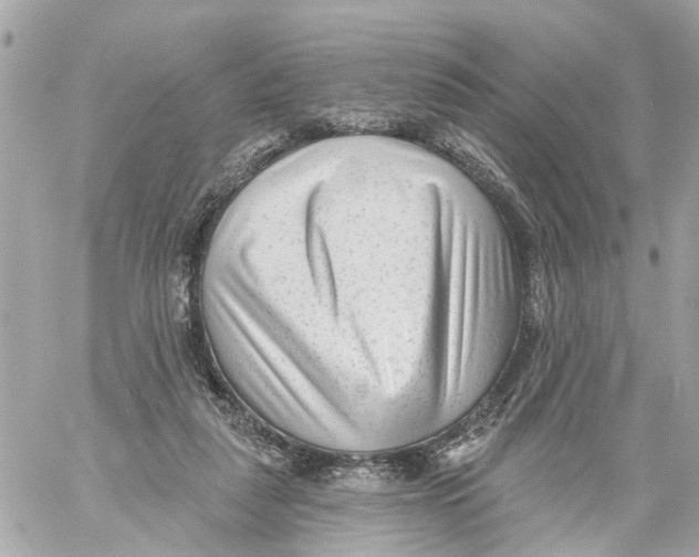 X0000059080259200511041829