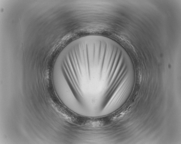 X0000059080260200511041829