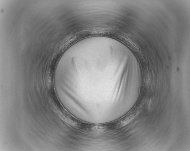 X0000059080261200511041829