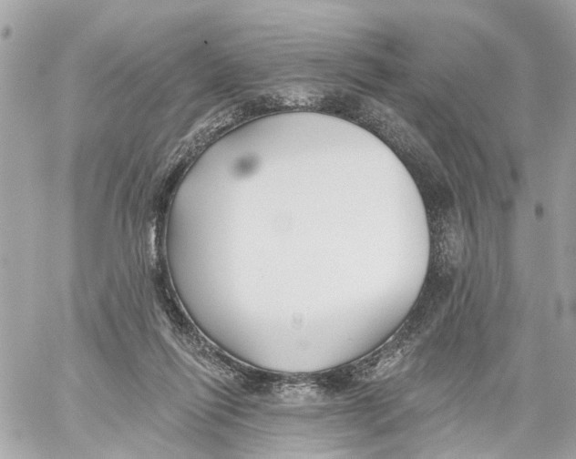 X0000059080262200511041829