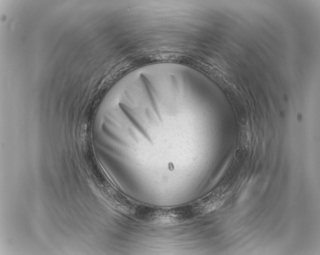 X0000059080263200511041829