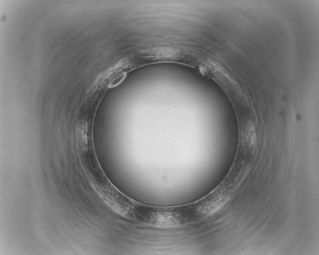 X0000059080264200511041829