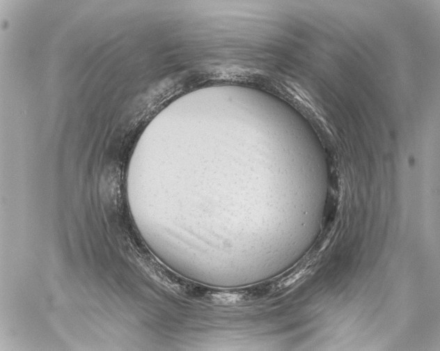 X0000059080265200511041829