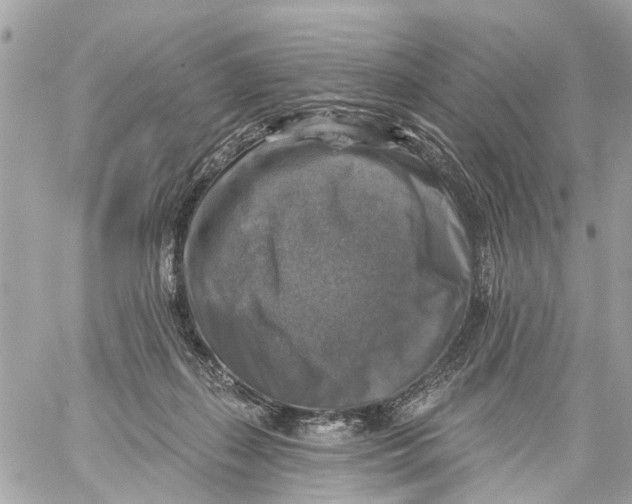 X0000059080267200511041829