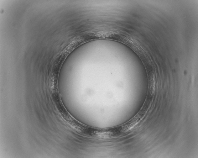 X0000059080268200511041829