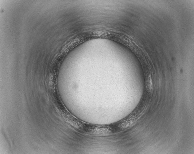 X0000059080270200511041829