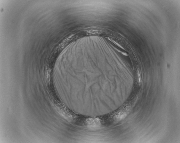 X0000059080271200511041829