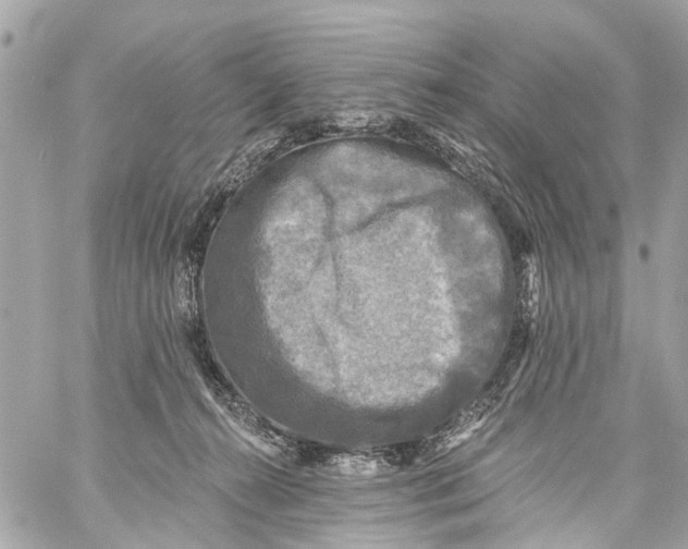 X0000059080272200511041829