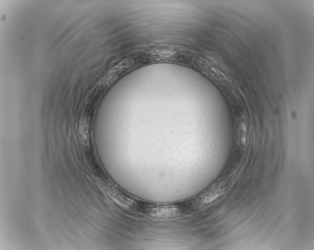 X0000059080274200511041829