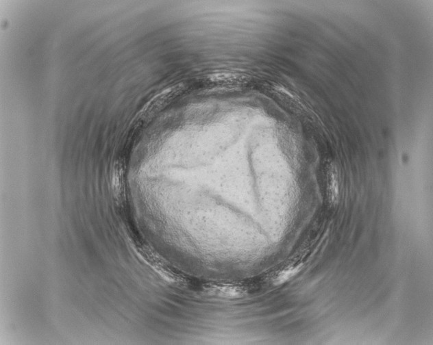 X0000059080276200511041829