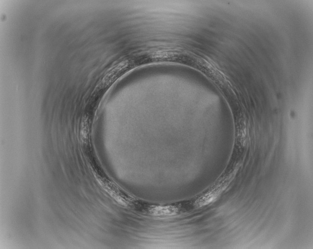 X0000059080277200511041829