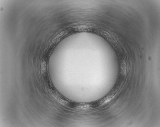 X0000059080278200511041829