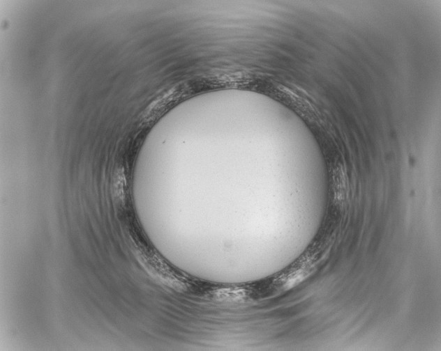 X0000059080279200511041829