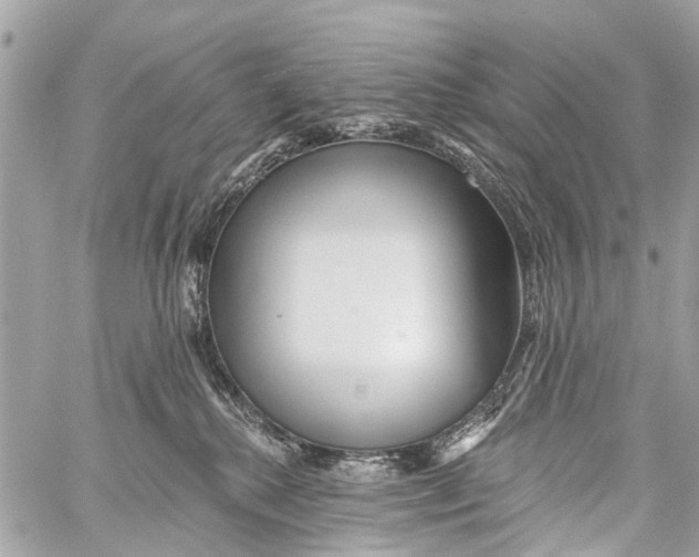 X0000059080280200511041829