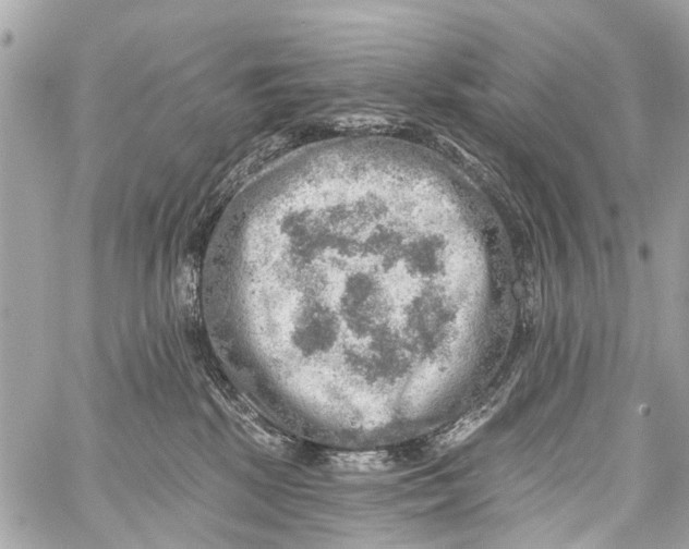 X0000059080281200511041829