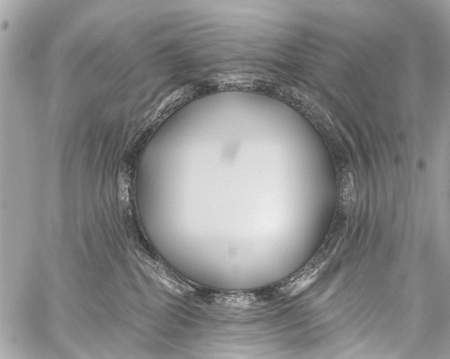 X0000059080282200511041829