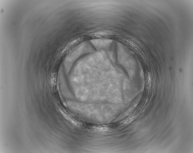 X0000059080284200511041829