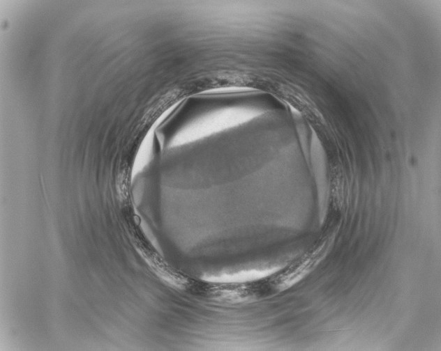 X0000059080285200511041829