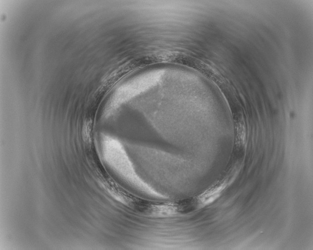 X0000059080286200511041829