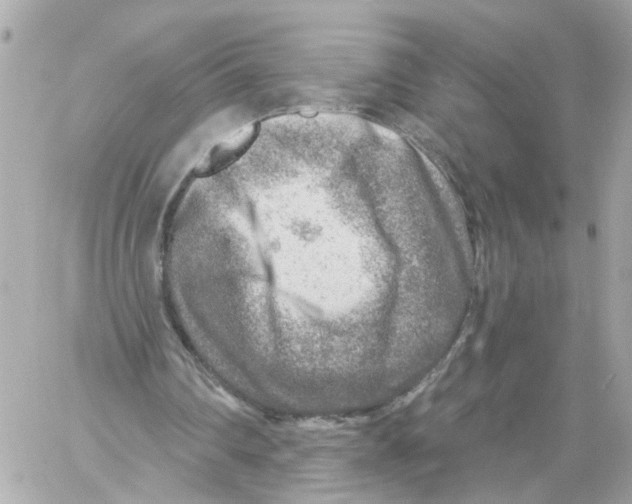 X0000059080290200511041828