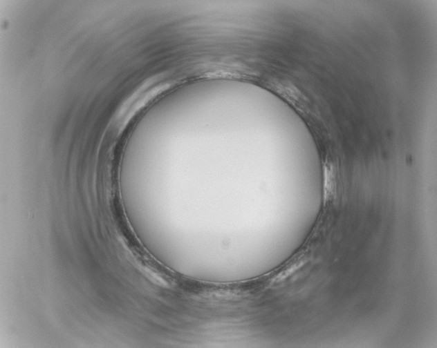 X0000059080291200511041828