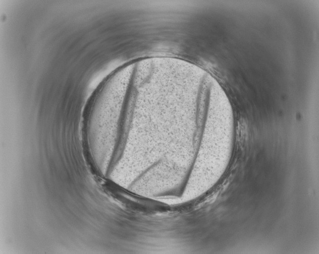 X0000059080292200511041828