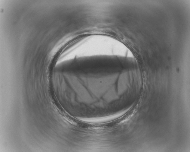 X0000059080295200511041828