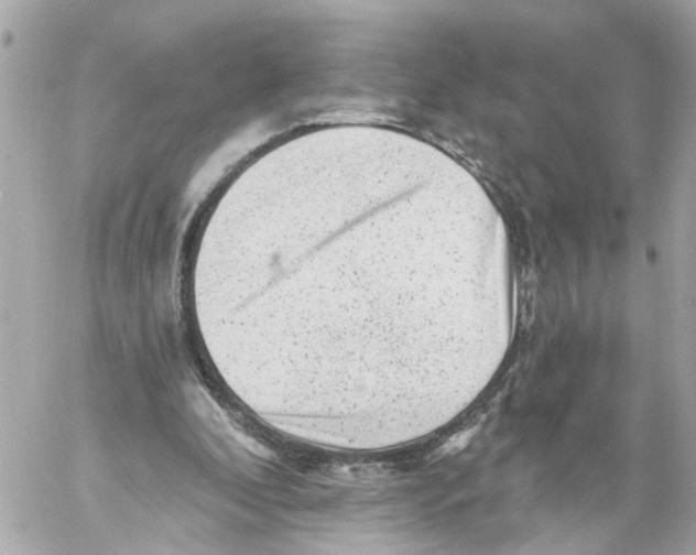 X0000059080296200511041828