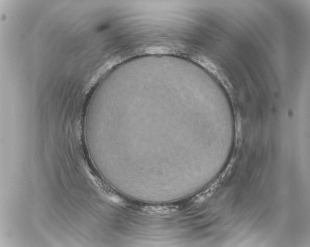 X0000059080297200511041828