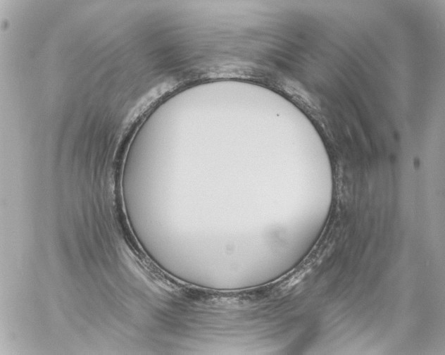 X0000059080298200511041828