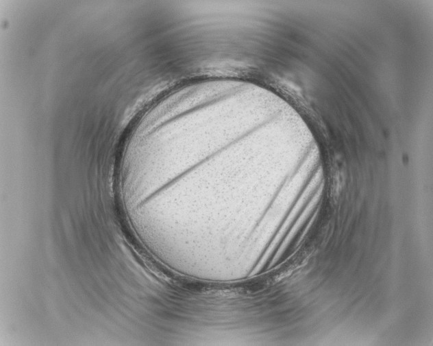 X0000059080299200511041828