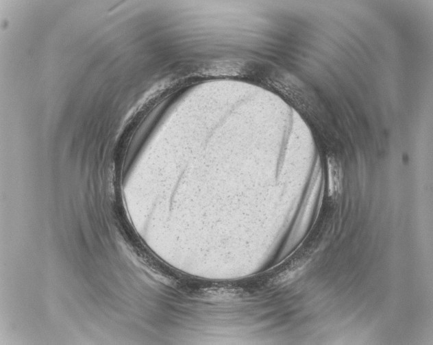 X0000059080300200511041828