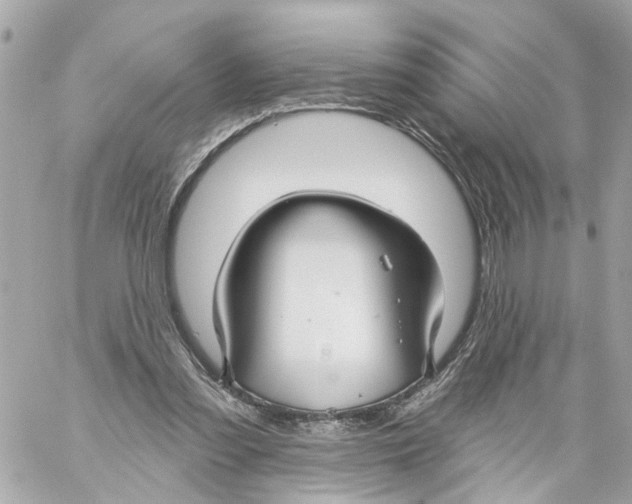 X0000059080301200511041828