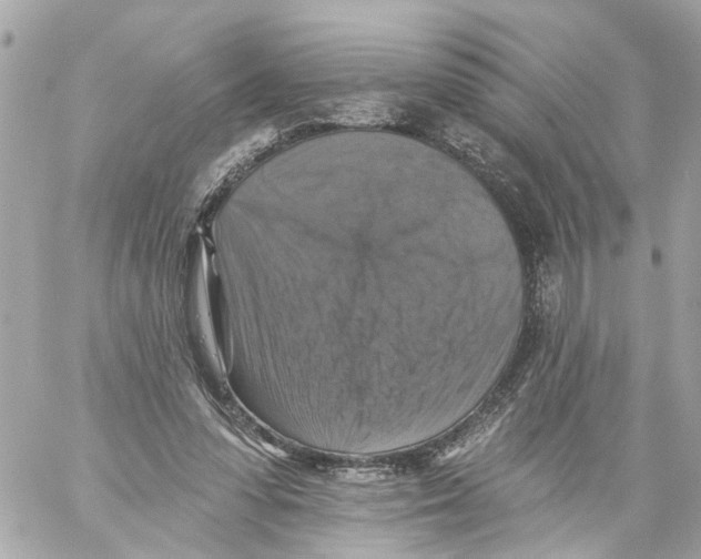 X0000059080303200511041828