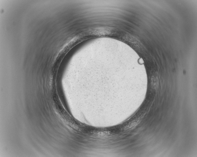 X0000059080304200511041828