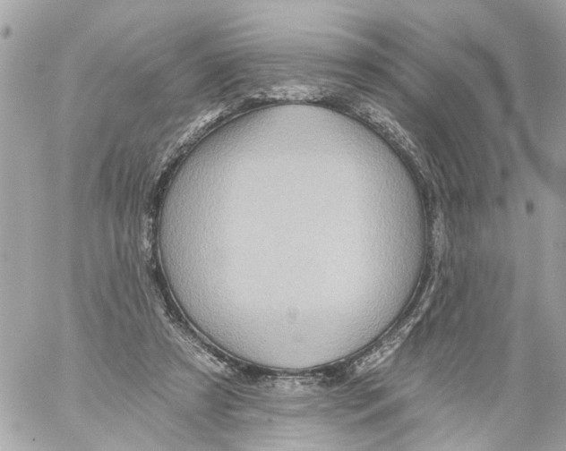 X0000059080305200511041828