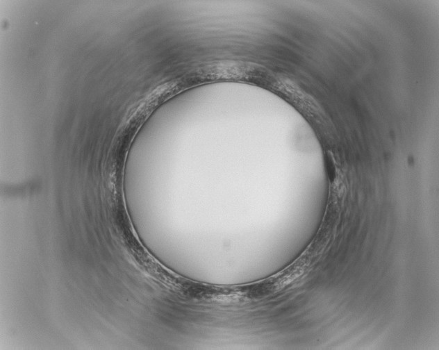 X0000059080306200511041828