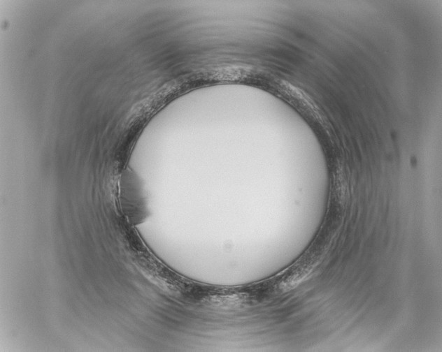 X0000059080307200511041828